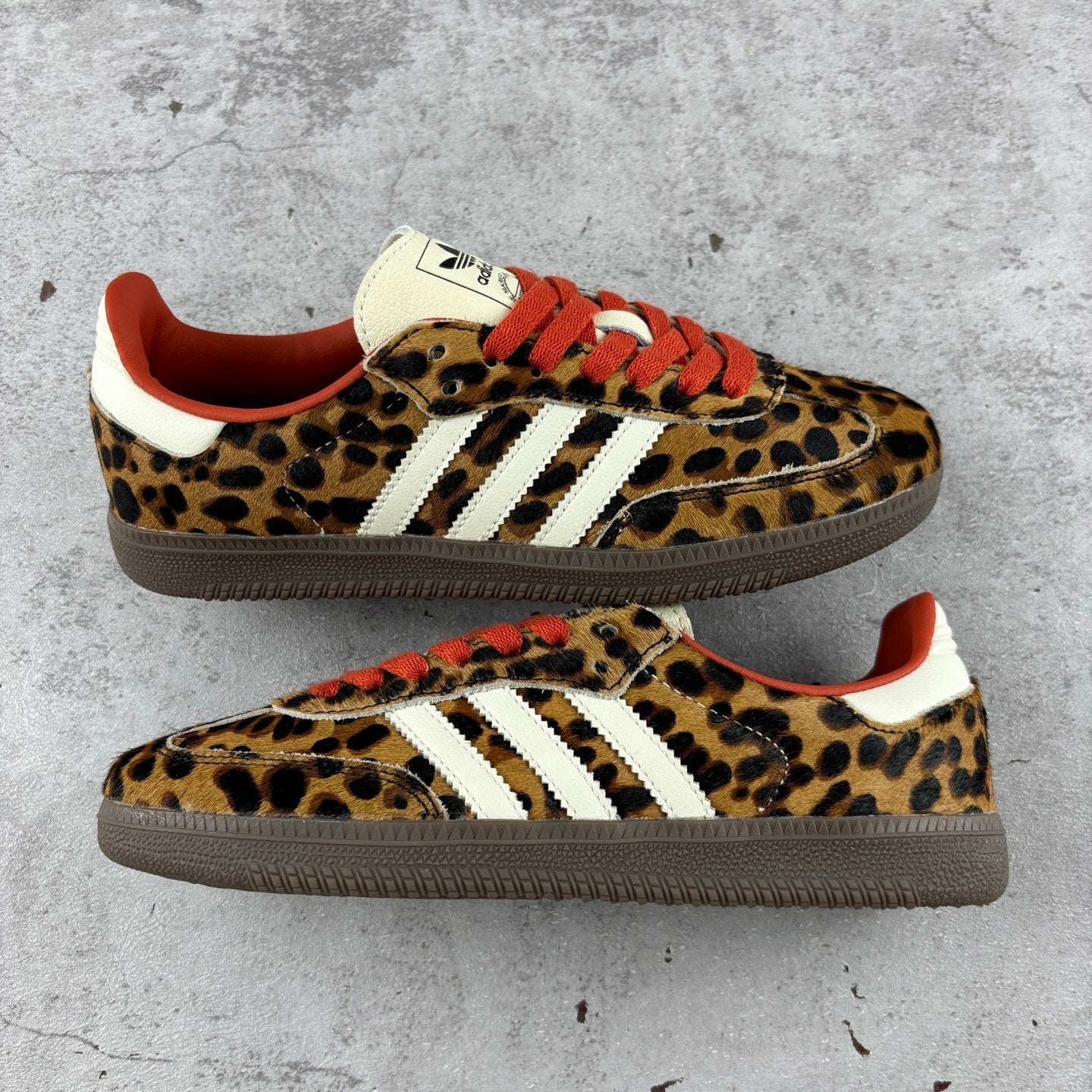 AD Samba ‘Leopard’