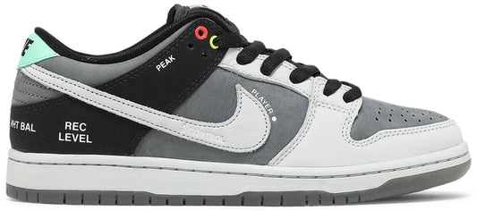 Nike Dunk SB Low "Camcorder"