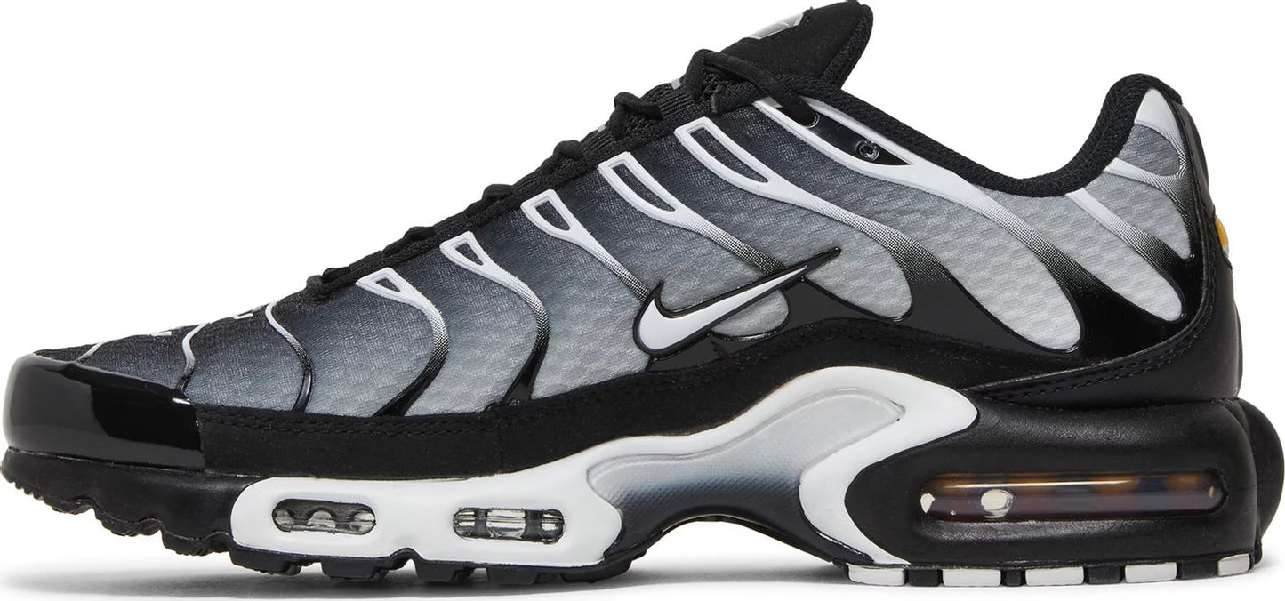 Nike Air Max TN "Metallic Silver"