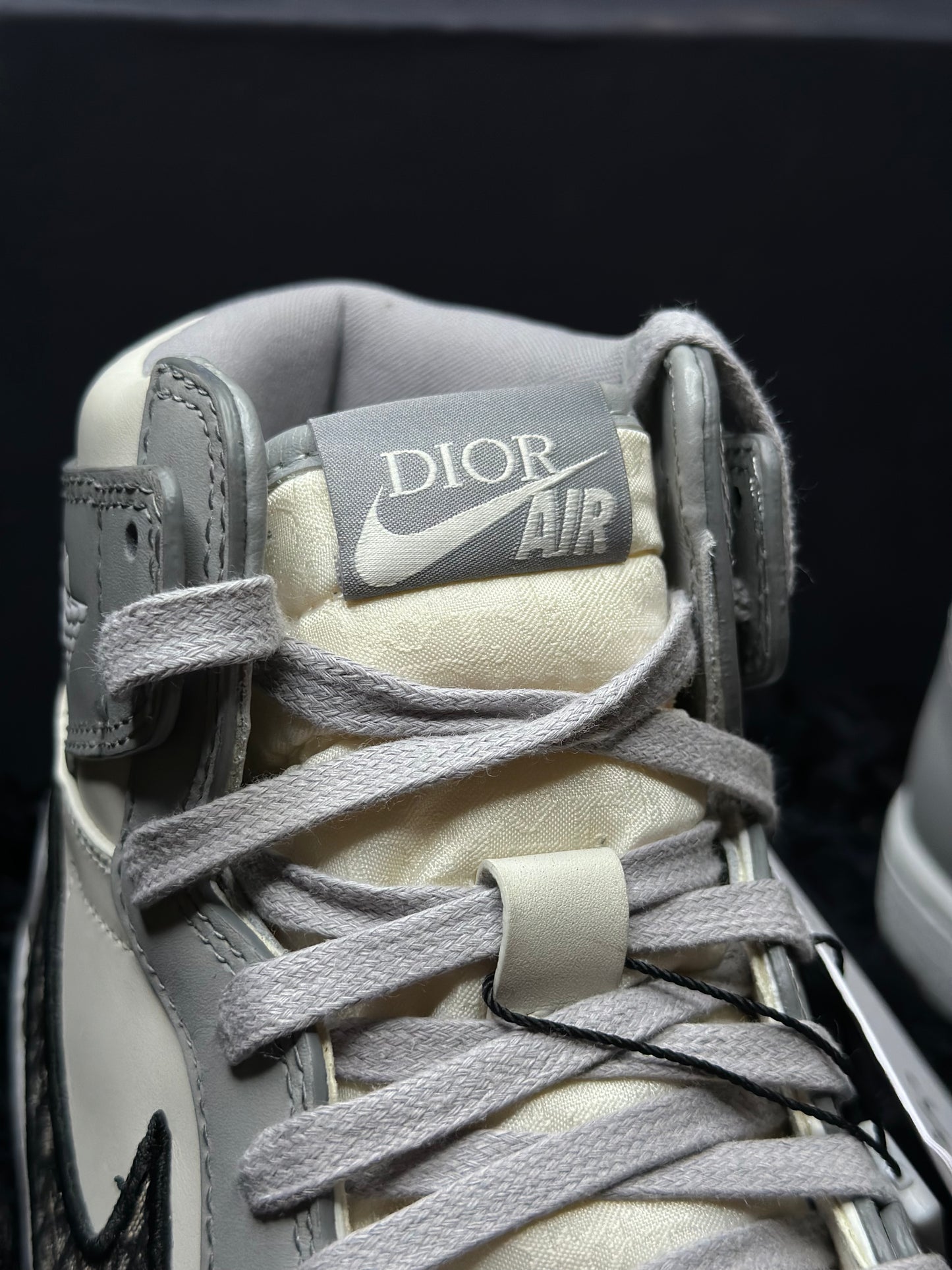 Nike Air Jordan 1 High x Dior (Pronta Entrega)